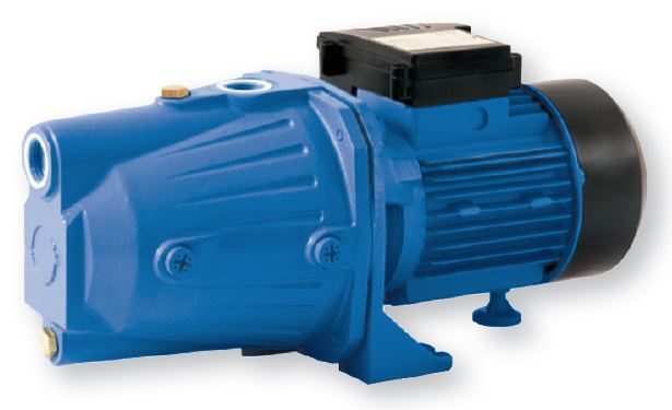 PUMPA BLUE LINE PJM 100 L 230V